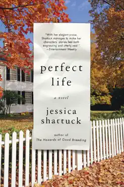 perfect life: a novel book cover image