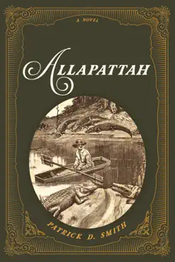 allapattah book cover image
