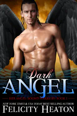 dark angel book cover image