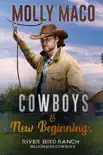 Cowboys And New Beginnings synopsis, comments