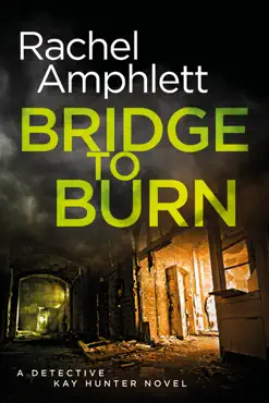 bridge to burn book cover image