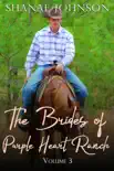 The Brides of Purple Heart Ranch Boxset Volume 3 sinopsis y comentarios