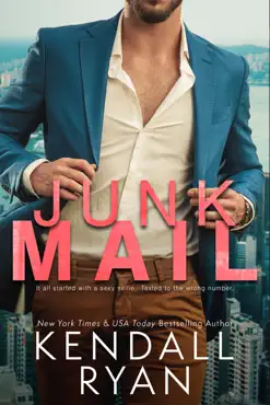 junk mail book cover image