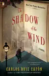 The Shadow of the Wind sinopsis y comentarios