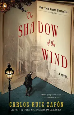 the shadow of the wind book cover image