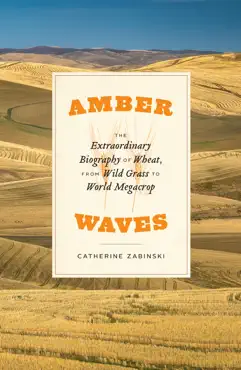 amber waves book cover image