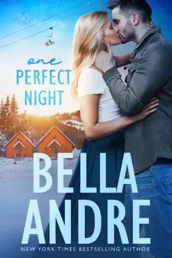 one perfect night book cover image