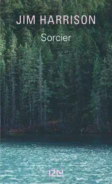sorcier book cover image