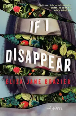 if i disappear book cover image