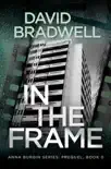 In The Frame synopsis, comments