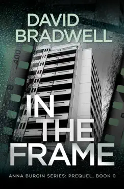 in the frame book cover image