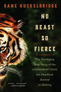 no beast so fierce book cover image
