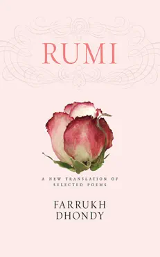 rumi book cover image