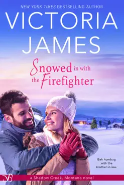snowed in with the firefighter book cover image