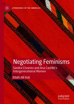 negotiating feminisms book cover image
