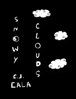 snowy clouds book cover image