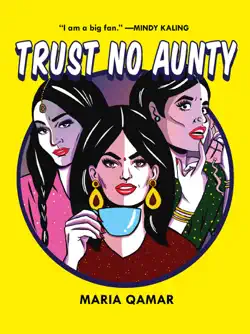 trust no aunty book cover image