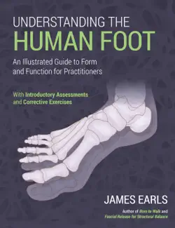 understanding the human foot imagen de la portada del libro