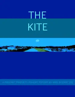 the kite imagen de la portada del libro