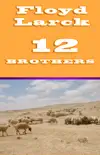 12 Brothers synopsis, comments