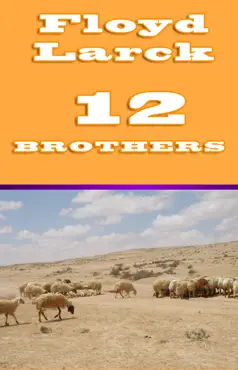 12 brothers book cover image