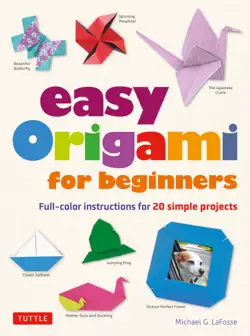 easy origami for beginners book cover image
