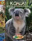 Zoobooks Koalas synopsis, comments