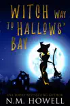 Witch Way to Hallows' Bay sinopsis y comentarios