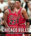 The Chicago Tribune Book of the Chicago Bulls synopsis, comments