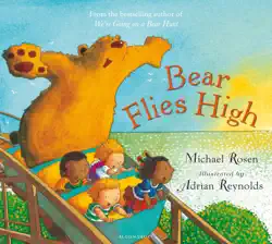bear flies high book cover image