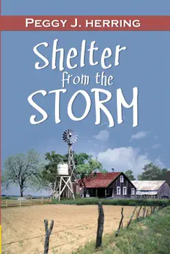 shelter from the storm imagen de la portada del libro