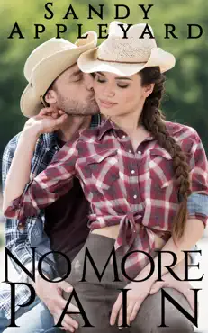 no more pain book cover image