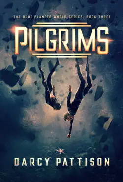 pilgrims book cover image