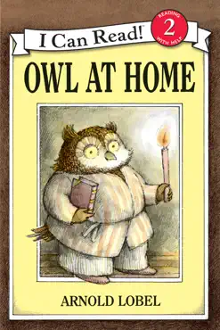 owl at home book cover image
