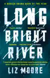 Long Bright River sinopsis y comentarios