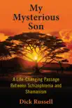 My Mysterious Son synopsis, comments