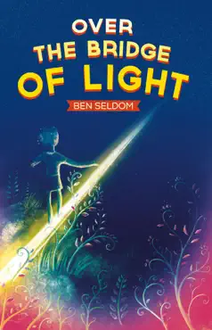 over the bridge of light book cover image
