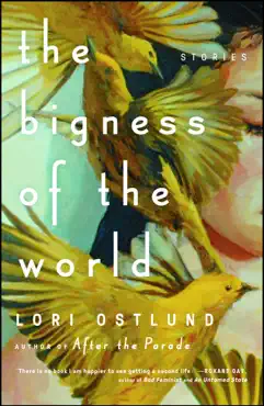 the bigness of the world book cover image