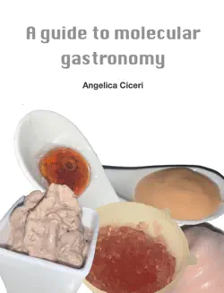 a guide to molecular gastromomy book cover image
