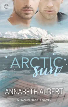 arctic sun book cover image