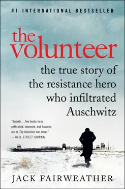 the volunteer book cover image