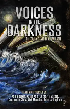 voices in the darkness book cover image
