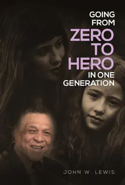 going from zero to hero in one generation book cover image