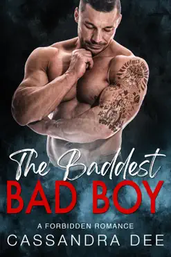 the baddest bad boy book cover image
