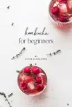 Kombucha for beginners synopsis, comments