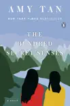 The Hundred Secret Senses synopsis, comments
