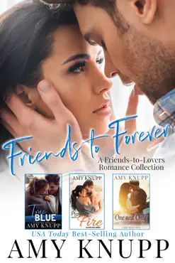 friends to forever book cover image