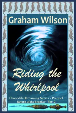 riding the whirlpool book cover image