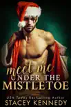 Meet Me Under The Mistletoe synopsis, comments
