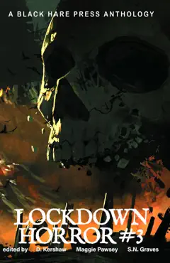 lockdown horror #3 book cover image